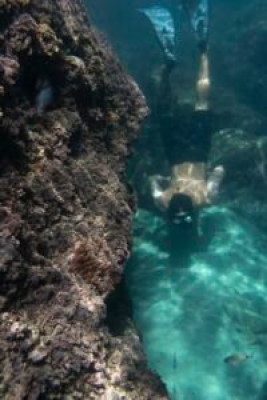 Labuan Bajo & Komodo Full Day Trip
