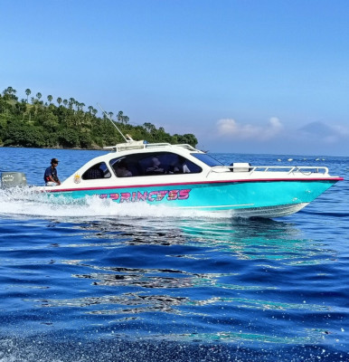 Lombok: Private Boat Transfer Lombok to or from Gili Island