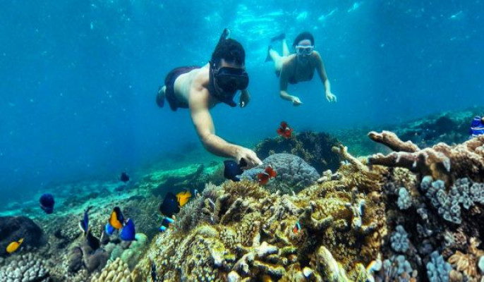 Lombok: Secret Gilis Private Snorkeling Tour
