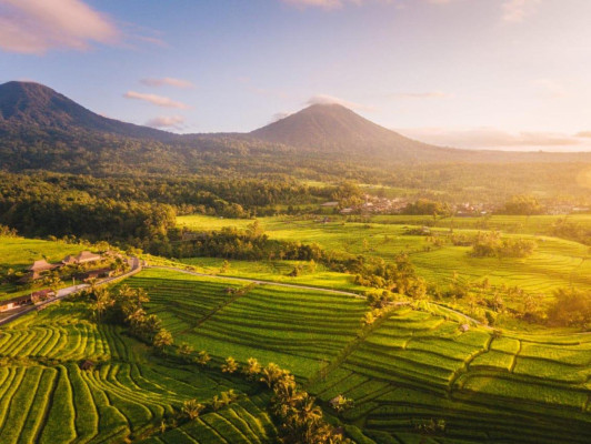 Majestic North Bali: Temples, Lake & Waterfall Escape