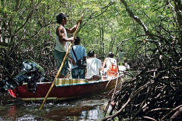 MANGROVE TOUR AT NUSA LEMBONGAN : TRADITIONAL BOAT