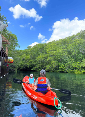 Mangrove Tour with Kayak (Without Transport)