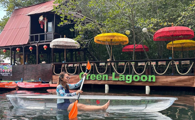 Mangrove Tour with Transparent Kayak (Without Transport)