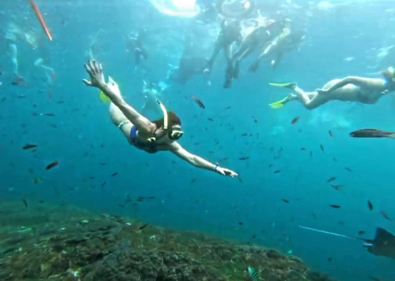 MANTA POINT SNORKLING