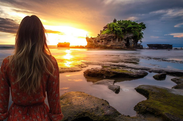 Monkey Forest, Rice Terrace and Tanah Lot Sunset Tour