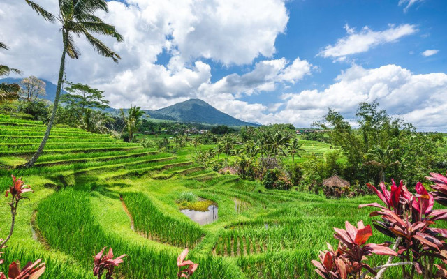 North Bali Private Tour