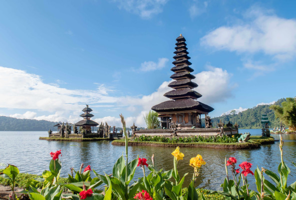 Northern Bali Tour Tanah Lot & Jatiluwih Rice Terrace