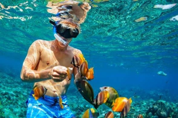 Nusa Penida Day Tour & Snorkeling Activity