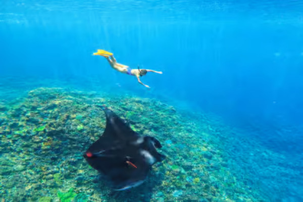Nusa Penida: Snorkeling 3 Spots with GoPro & West Land Tour