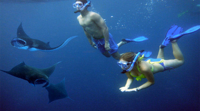 Nusa Penida Snorkeling Tour + Fast Boat & Hotel Transfer