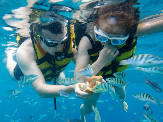 THREE POINT SNORKELING INCLUDE PICK UP AND DROP OFF IN NUSA PENIDA