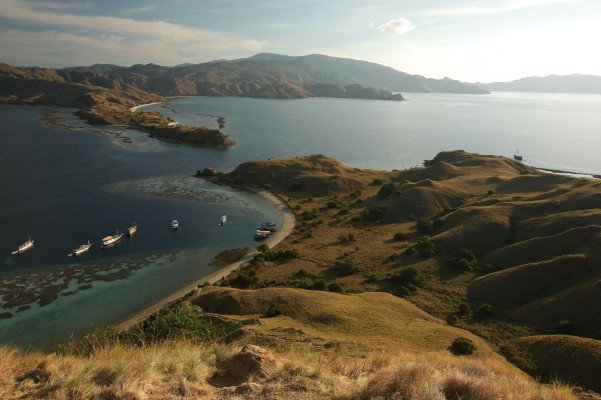 Open Trip 3D2N Sailing Komodo - Deluxe Cabin | Raja Bintang 03
