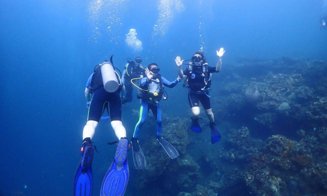 Open Water Diver Course
