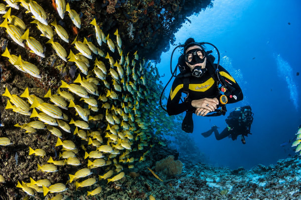 Padangbai 2-Dive Scuba Adventure