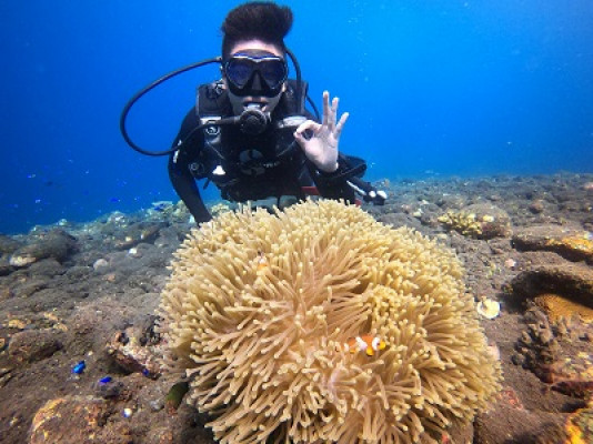 PADI Open Water Course (3 days Program)