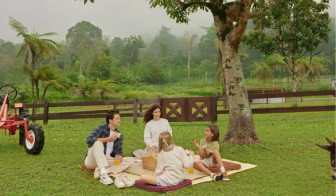 Picnic at Bali Farm House – A Blissful Outdoor Escape