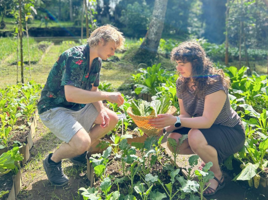 Private Cooking Class on Organic Farm (12:30)