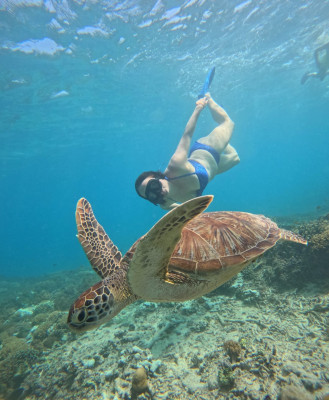Private Dolphin Watching & Snorkeling Tour Gili Trawangan