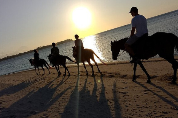Private Horseback Riding Experience Gili Air