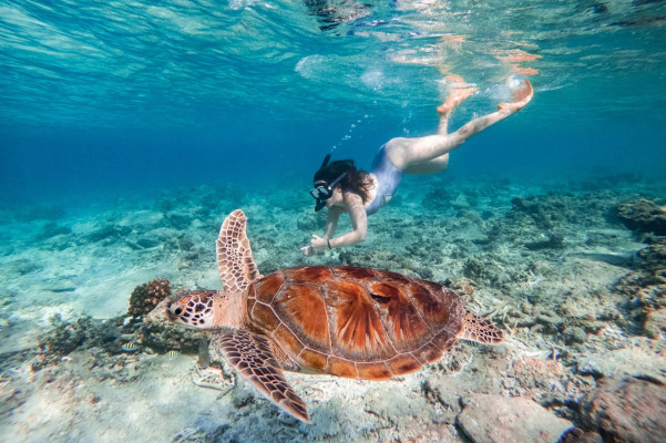 Private Snorkeling For 2 Hours With 3 Spots