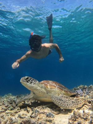 Private Snorkeling For 4 Hours With 4 Snorkeling Spots