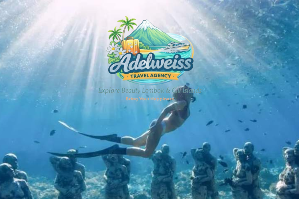 Public Boat Snorkeling Trip