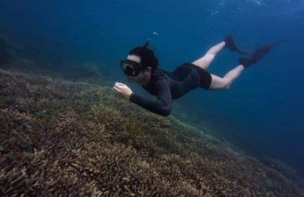 Public Snorkeling