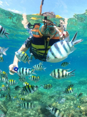 Public Snorkeling - Afternoon Trip 13.00 - 17.00