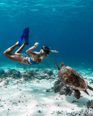 Public Snorkeling - Morning Trip 10.30 - 15.30