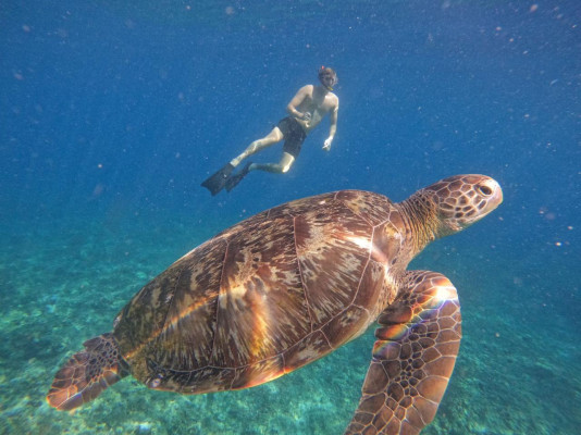 PUBLIC SNORKELING TRIP GILI ISLANDS