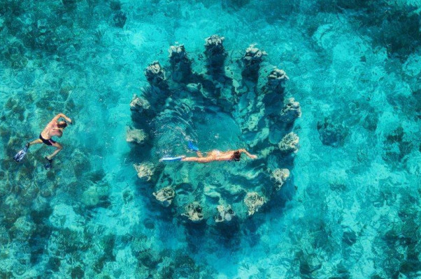 Public Snorkeling Trip Gili Trawangan