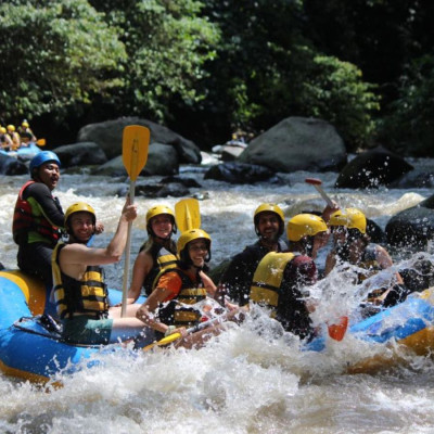 Rafting and Ubud Tour