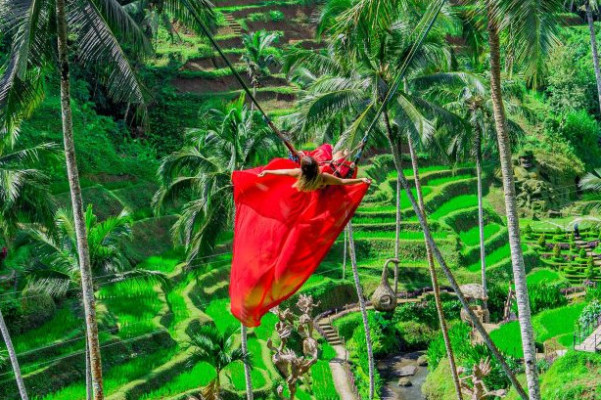 Relaxing Bali Swing Over Rice Terraces