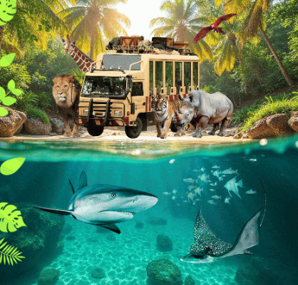 Safari + Marine Package