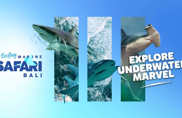 Safari + Marine Package