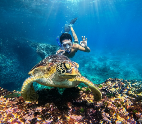 SAFARI THREE POINT SNORKELING