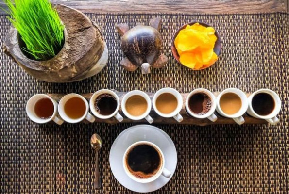 Savor Bali’s Coffee Heritage at Bali Pulina Plantation!