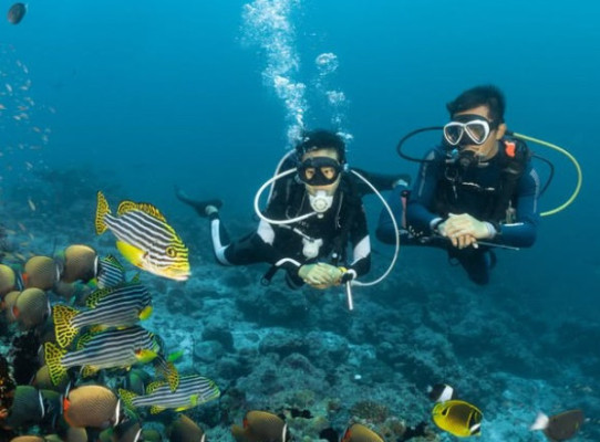 Scuba Diving Bali (2x Dives)