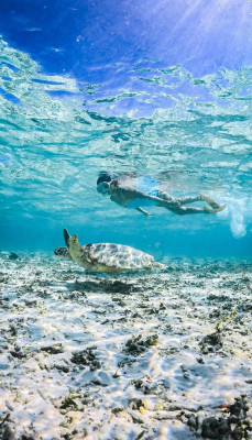 Share group snorkeling, During 4 Hours