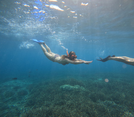 Shared Snorkeling Trip – Manta Bay Route