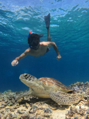 Shared Snorkeling With The Group, During 4 Hours