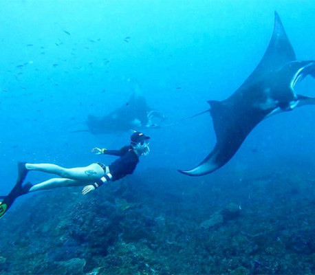 Snorkeling Adventure & Eastern Nusa Penida Tour