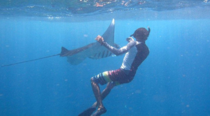 SNORKELING AND LEMBONGAN ISLAND TOUR FROM BALI TO NUSA LEMBONGAN AND NUSA PENIDA  ( B )