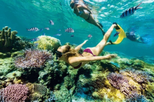 Snorkeling at Blue Lagoon Beach with Lunch and Private Transfer
