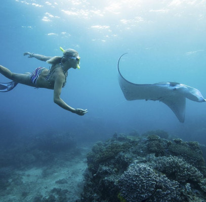 Snorkeling Day Trip With Toyapakeh As Starting Point