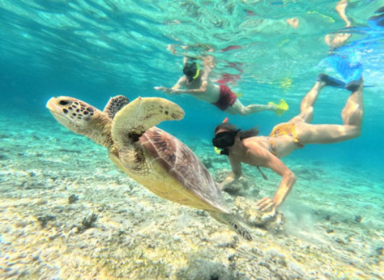 Private 3 Gili Islands Snorkeling Tour: Gili Trawangan, Gili Meno & Gili Air