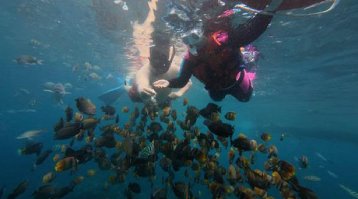Snorkeling Private Boat Manta Point