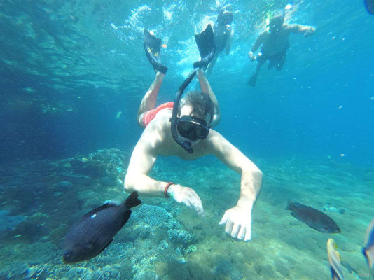 SNORKELING TRIP NUSA PENIDA
