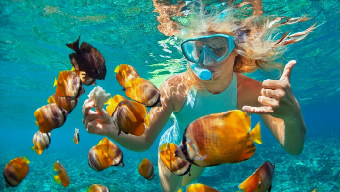 Snorkeling Trips Nusa Penida