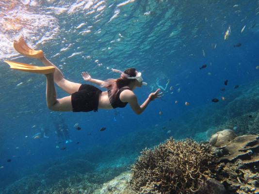 SNORKELING TRIPS WITH MANTA RAY FROM NUSA LEMBONGAN